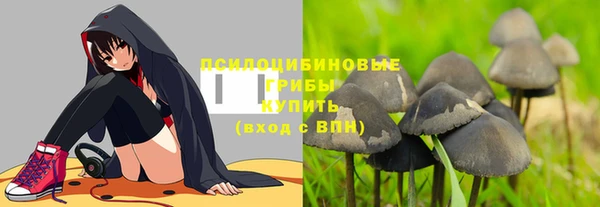 соль ск Богородск